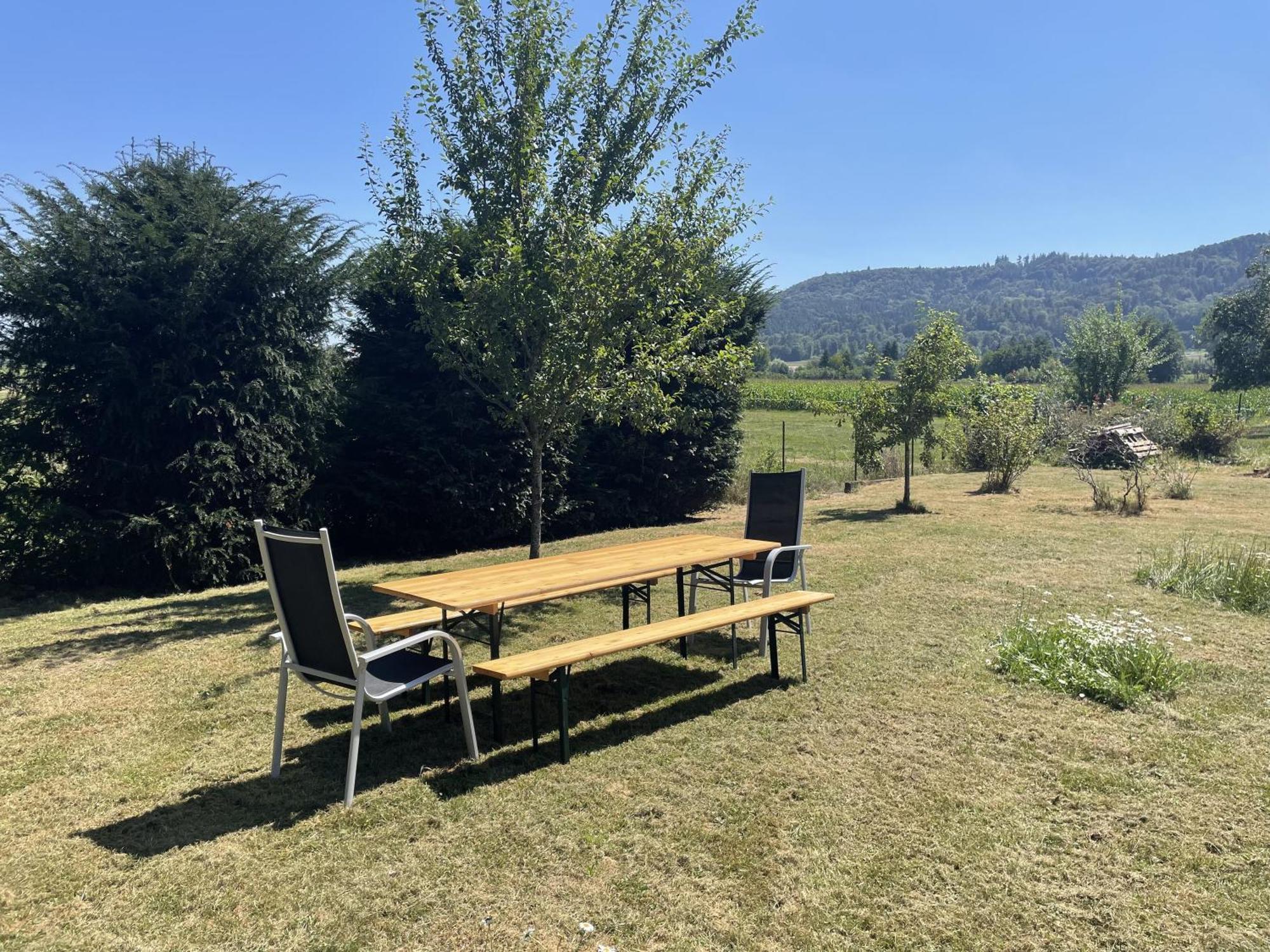 Im Gruenen Und Bodenseenaehe Apartment Rielasingen-Worblingen
